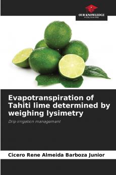 Evapotranspiration of Tahiti lime determined by weighing lysimetry