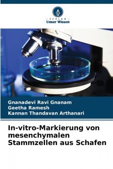 In-vitro-Markierung von mesenchymalen Stammzellen aus Schafen
