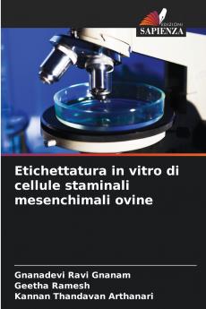 Etichettatura in vitro di cellule staminali mesenchimali ovine