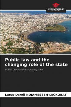 Public law and the changing role of the state