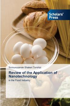 Review of the Application of Nanotechnology