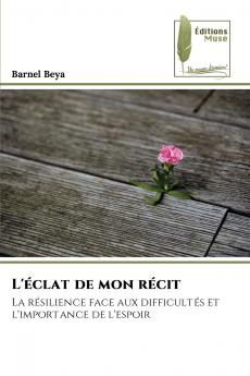 L'éclat de mon récit