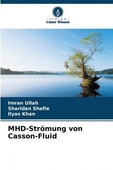 MHD-Strömung von Casson-Fluid