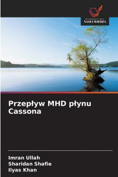 Przepływ MHD płynu Cassona