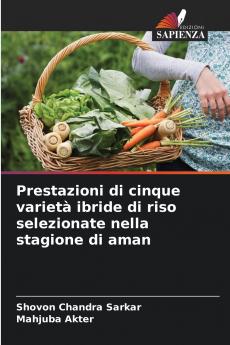 Prestazioni di cinque varietà ibride di riso selezionate nella stagione di aman