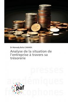 Analyse de la situation de l'entreprise à travers sa trésorerie