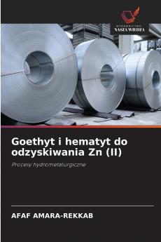 Goethyt i hematyt do odzyskiwania Zn (II)