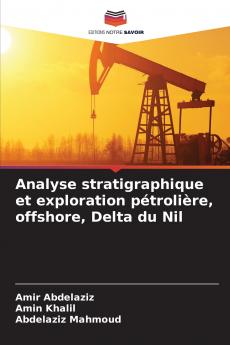 Analyse stratigraphique et exploration pétrolière offshore Delta du Nil