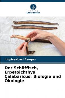 Der Schilffisch Erpetoichthys Calabaricus