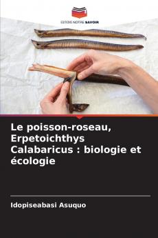 Le poisson-roseau Erpetoichthys Calabaricus