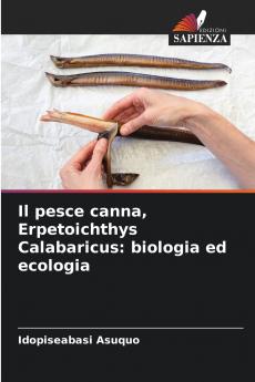 Il pesce canna Erpetoichthys Calabaricus