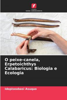O peixe-canela Erpetoichthys Calabaricus