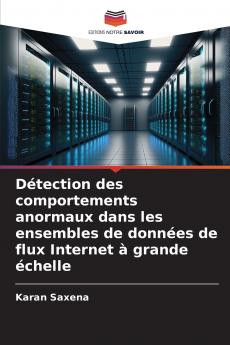 Détection des comportements anormaux dans les ensembles de données de flux Internet à grande échelle