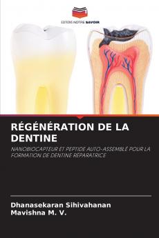 RÉGÉNÉRATION DE LA DENTINE