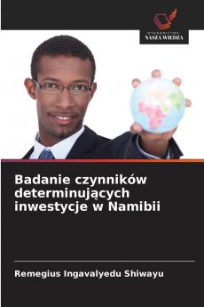 Badanie czynników determinujących inwestycje w Namibii
