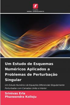 Um Estudo de Esquemas Numéricos Aplicados a Problemas de Perturbação Singular