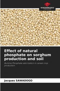 Effect of natural phosphate on sorghum production and soil