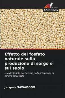 Effetto del fosfato naturale sulla produzione di sorgo e sul suolo