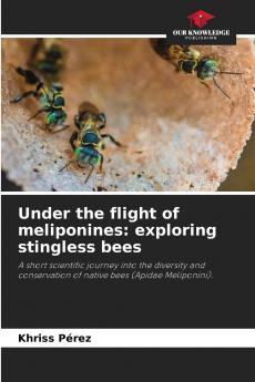 Under the flight of meliponines
