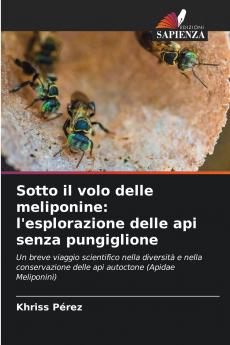 Sotto il volo delle meliponine