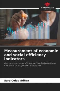 Measurement of economic and social efficiency indicators