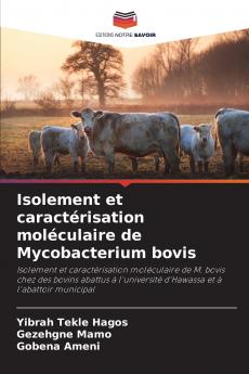 Isolement et caractérisation moléculaire de Mycobacterium bovis