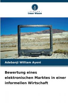 Bewertung eines elektronischen Marktes in einer informellen Wirtschaft