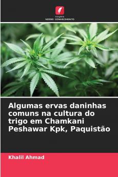 Algumas ervas daninhas comuns na cultura do trigo em Chamkani Peshawar Kpk Paquistão