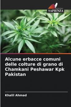 Alcune erbacce comuni delle colture di grano di Chamkani Peshawar Kpk Pakistan