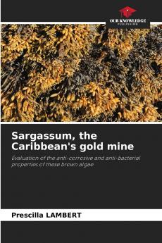 Sargassum the Caribbean's gold mine