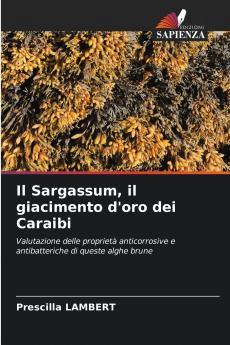 Il Sargassum il giacimento d'oro dei Caraibi