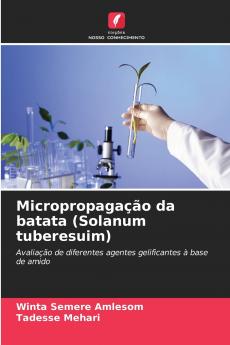 Micropropagação da batata (Solanum tuberesuim)