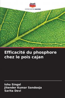 Efficacité du phosphore chez le pois cajan