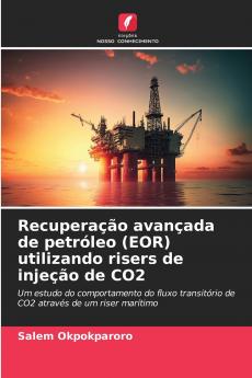 Recuperação avançada de petróleo (EOR) utilizando risers de injeção de CO2