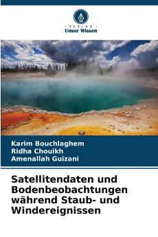 Satellitendaten und Bodenbeobachtungen während Staub- und Windereignissen