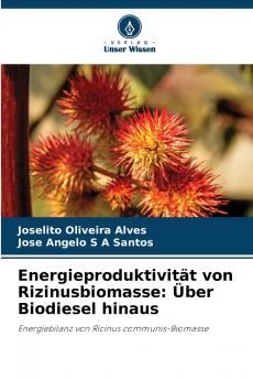 Energieproduktivität von Rizinusbiomasse
