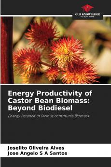 Energy Productivity of Castor Bean Biomass