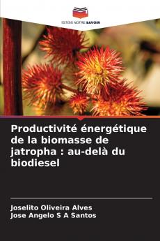 Productivité énergétique de la biomasse de jatropha