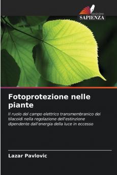 Fotoprotezione nelle piante