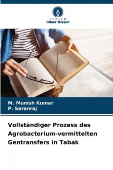 Vollständiger Prozess des Agrobacterium-vermittelten Gentransfers in Tabak