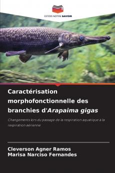 Caractérisation morphofonctionnelle des branchies d'Arapaima gigas