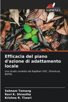 Efficacia del piano d'azione di adattamento locale