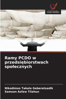 Ramy PCDO w przedsiębiorstwach społecznych