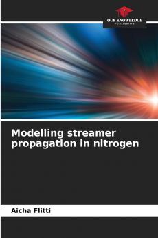 Modelling streamer propagation in nitrogen