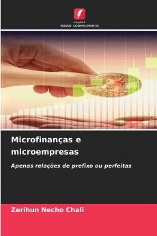 Microfinanças e microempresas