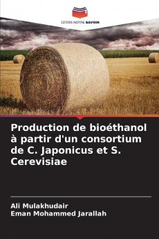 Production de bioéthanol à partir d'un consortium de C. Japonicus et S. Cerevisiae