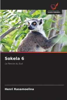 Sokela 6