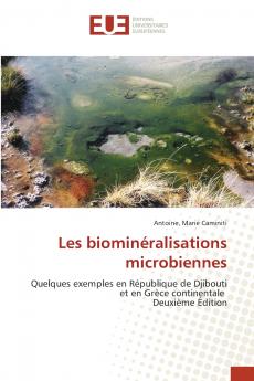 Les biominéralisations microbiennes