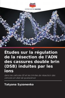 Études sur la régulation de la résection de l'ADN des cassures double brin (DSB) induites par les ions
