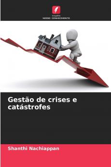 Gestão de crises e catástrofes